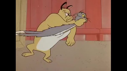 [hq] Tom and Jerry [hq]