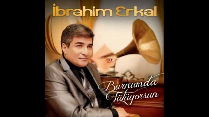 Ibrahim Erkal Seni nasil severim (2012)