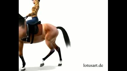 3d Horse For Wendy Game