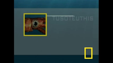 Невероятно...sea Monsters 1