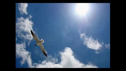 Giorgos Dalaras - Anemos