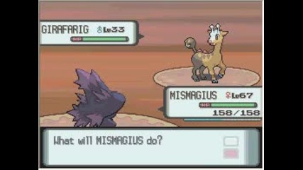 Pokemon Diamond battle
