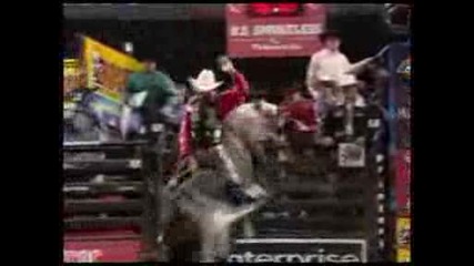 Justin Mcbride On Pbr Bull Chicken On A Chain