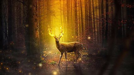 Celtic Music Magic Woodland The Golden Forest