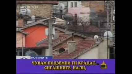 Роми Ни Учат Как Да Лъжем И Крадем! (господари На Ефира)