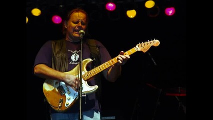 Walter Trout - Tender Heart