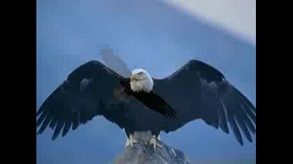 Where Eagles Fly - Eric And Sarah