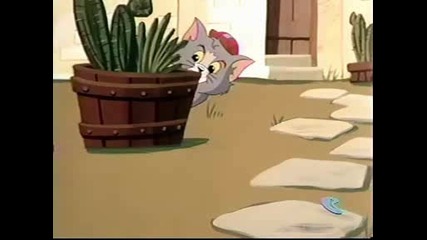 Tom & Jerry Kids 123c Hard To Swallow
