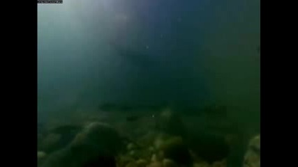 Планетата земя - Чудото 