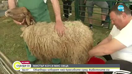 Близо 80 000 души посетиха Събора на овцевъдите