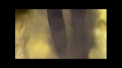 Jape - I Was A Man