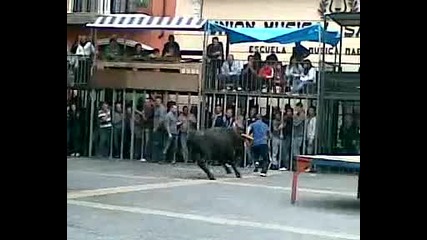 тея са луди!