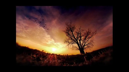 Sander van Doorn – Chasin’