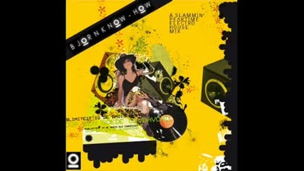 Electro House 2008 Sesion V