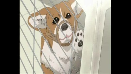 Hell Girl Eпизод 18 [1/2] Eng Dub