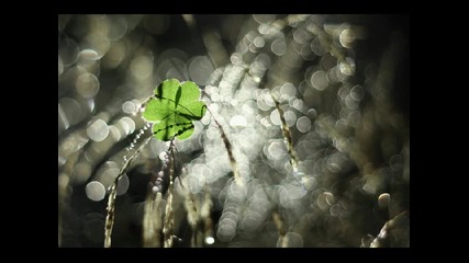 Coming Back To Life - Pink Floyd