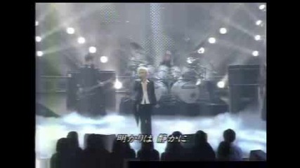 [live] Aint Afraid To Die