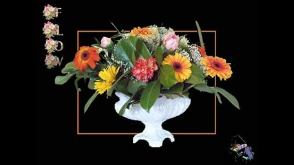 Flowers Alphabet