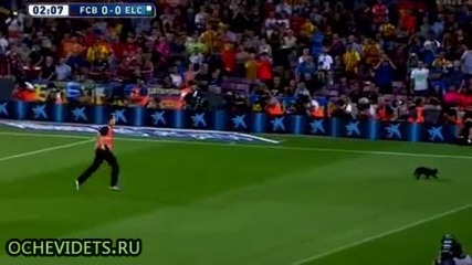 Черна котка донесе късмет на 10 от Барса