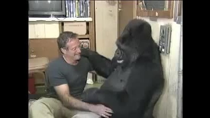Robin Williams and Koko