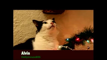 Animals sing Jingle Bells 