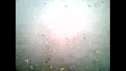Pgte pridobivka 