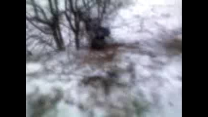 Panagiurski Idioti