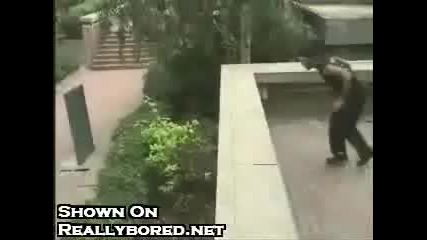 freerun 