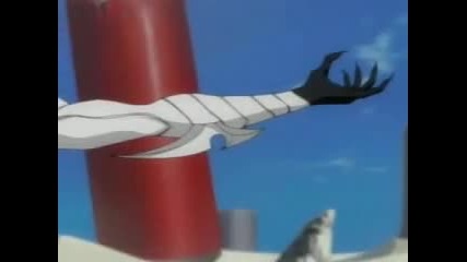 bleach 