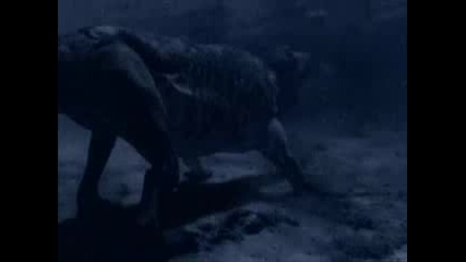 Walking with Beasts - Ep 1 - New Dawn - Part 3 of 3