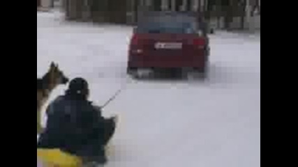 Зима 2008