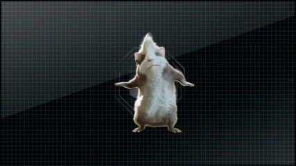 Flo Rida Feat. Nelly Furtado - Jump Music Video