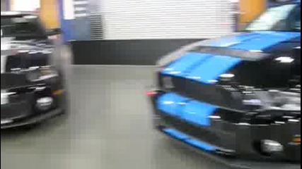 2010 Shelby Gt500 Start Up, Exhaust, and Full Tour 