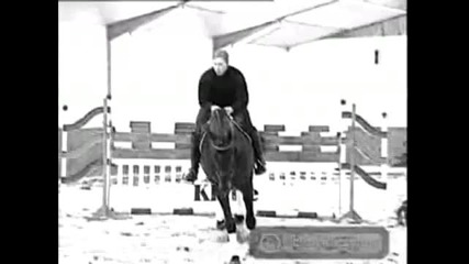 Horse Jumping