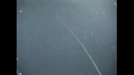 Sperm Whale Encounters Underwater Robot