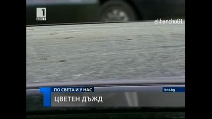 Цветен дъжд валя в страната !