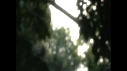 Modest Mouse - Sleepwalkin
