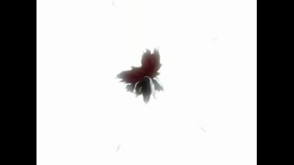 Bleach - Bring Me To Life