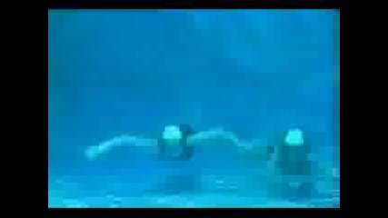 Liquid - Sweet Harmony