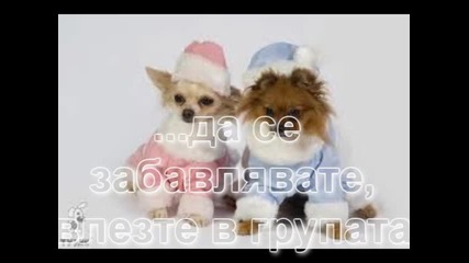 for ™група за забавления и веселия™