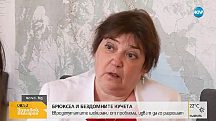 Евродепутатите шокирани от проблема с бездомните животни у нас