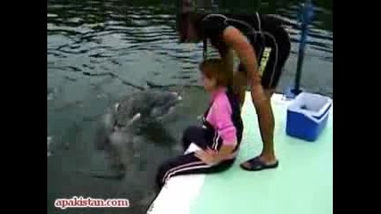(смях)делфин Прави Секс С Жена/делфин Се Опитва Да Изнасили Жена