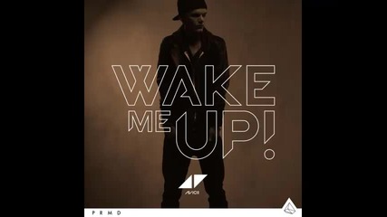 *2013* Avicii ft. Aloe Blacc - Wake me up