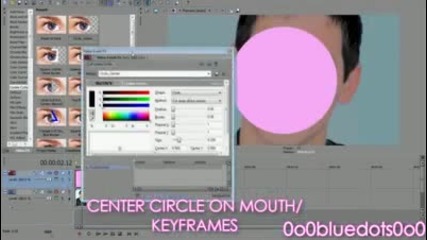 sony vegas tutorial effect