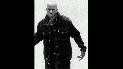Dmx - Party Up