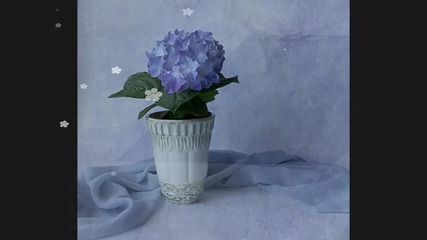 Сини цветя... ...(music Paul Mauriat)... ...