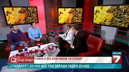 Гледане на пчели на балкона ( проект I have a bee )