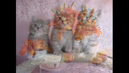 Giovanni Marradi - Just for You