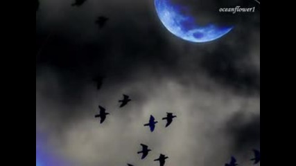 Shaun Britton - Moonlight Journey