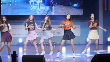 Red Velvet - Happiness mirrored dance fancame